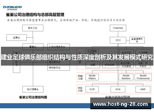 建业足球俱乐部组织结构与性质深度剖析及其发展模式研究 建业足球俱乐部组织结构与性质深度剖析及其发展模式研究
