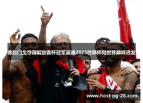 弗拉门戈夺得解放者杯冠军直通2025世俱杯向世界巅峰进发